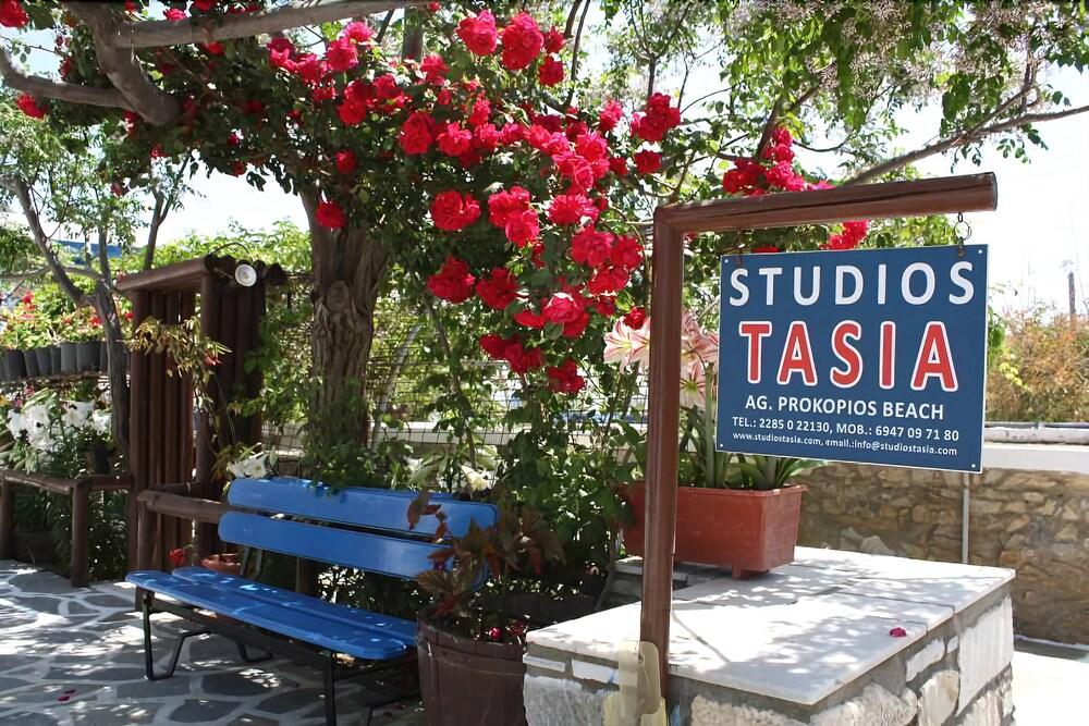 Studios Tasia Άγιος Προκόπιος Εξωτερικό φωτογραφία